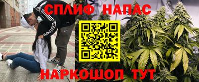 МДПВ Гатчина
