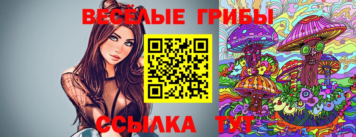 Кимры  Галлюциногенные грибы Psilocybine cubensis  Вход с VPN 